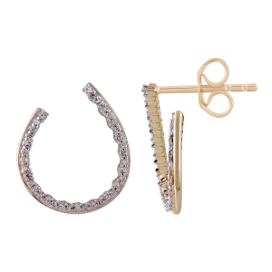 0.33ct Diamond Earrings In 9Ct Yellow Gold